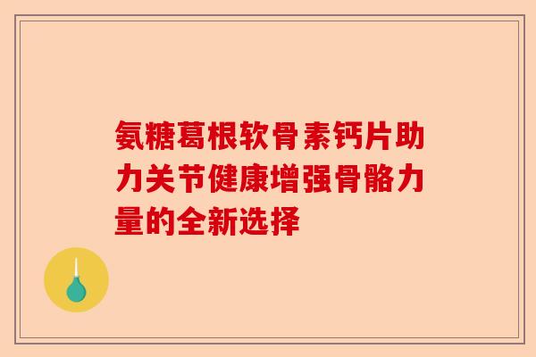 氨糖葛根软骨素钙片助力关节健康增强骨骼力量的全新选择-第1张图片-关节保镖