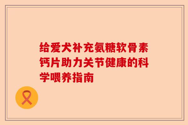 给爱犬补充氨糖软骨素钙片助力关节健康的科学喂养指南