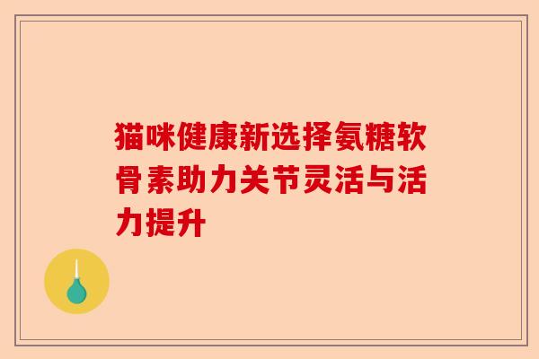 猫咪健康新选择氨糖软骨素助力关节灵活与活力提升