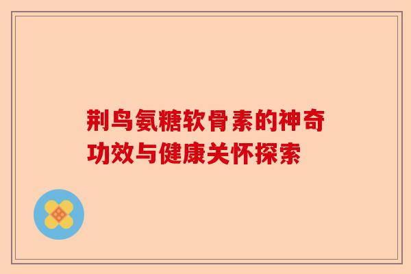 荆鸟氨糖软骨素的神奇功效与健康关怀探索
