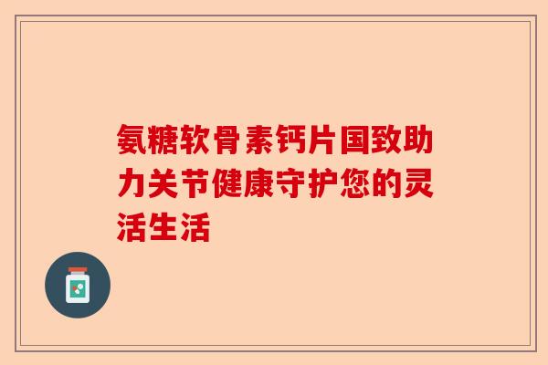 氨糖软骨素钙片国致助力关节健康守护您的灵活生活
