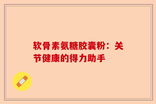 软骨素氨糖胶囊粉：关节健康的得力助手