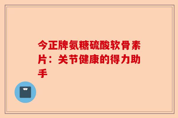 今正牌氨糖硫酸软骨素片：关节健康的得力助手