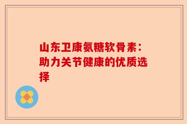 山东卫康氨糖软骨素：助力关节健康的优质选择