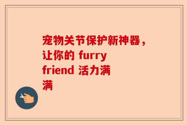 宠物关节保护新神器，让你的 furry friend 活力满满