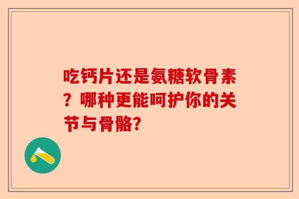 吃钙片还是氨糖软骨素？哪种更能呵护你的关节与骨骼？