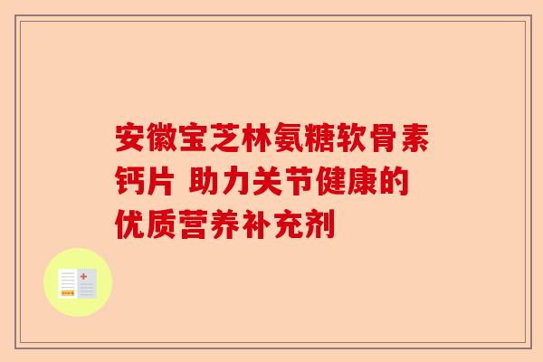 安徽宝芝林氨糖软骨素钙片 助力关节健康的优质营养补充剂