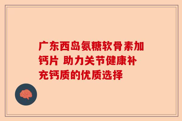 广东西岛氨糖软骨素加钙片 助力关节健康补充钙质的优质选择