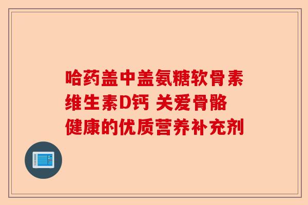 哈药盖中盖氨糖软骨素维生素D钙 关爱骨骼健康的优质营养补充剂