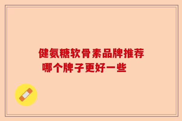 健氨糖软骨素品牌推荐 哪个牌子更好一些