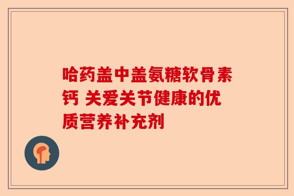 哈药盖中盖氨糖软骨素钙 关爱关节健康的优质营养补充剂