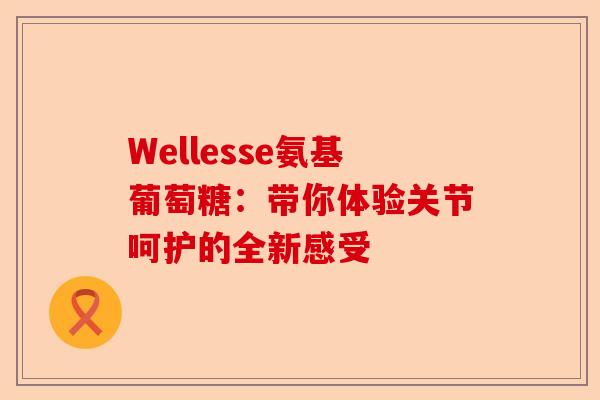 Wellesse氨基葡萄糖：带你体验关节呵护的全新感受