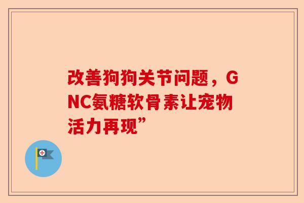 改善狗狗关节问题，GNC氨糖软骨素让宠物活力再现”