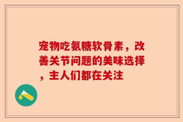宠物吃氨糖软骨素，改善关节问题的美味选择，主人们都在关注