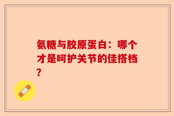 氨糖与胶原蛋白：哪个才是呵护关节的佳搭档？