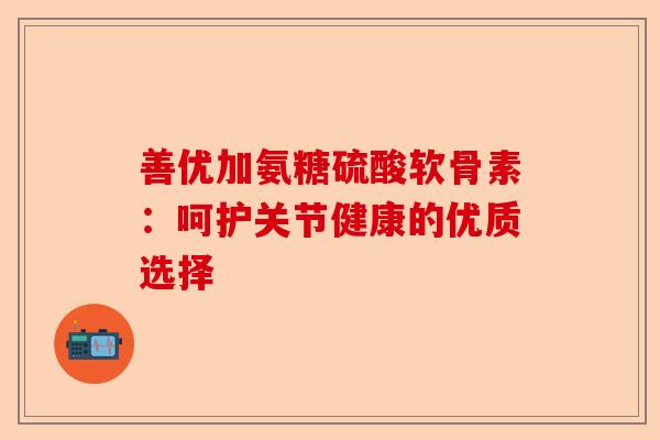 善优加氨糖硫酸软骨素：呵护关节健康的优质选择