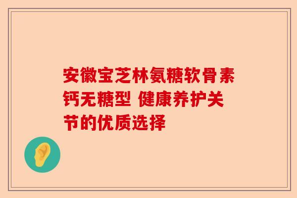 安徽宝芝林氨糖软骨素钙无糖型 健康养护关节的优质选择
