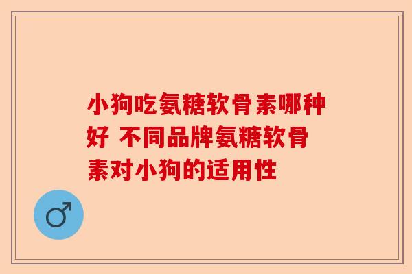 小狗吃氨糖软骨素哪种好 不同品牌氨糖软骨素对小狗的适用性