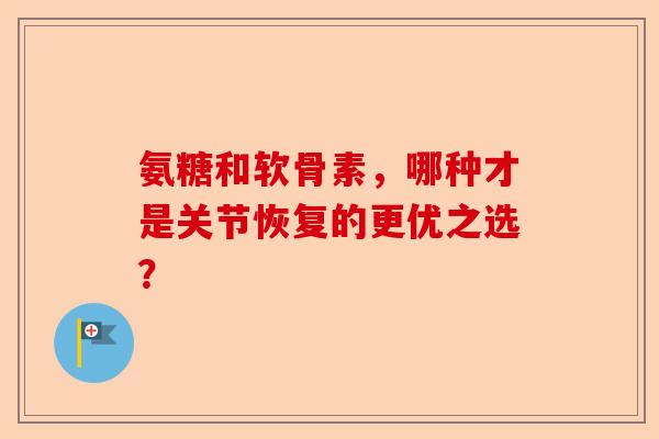 氨糖和软骨素，哪种才是关节恢复的更优之选？