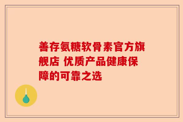 善存氨糖软骨素官方旗舰店 优质产品健康保障的可靠之选