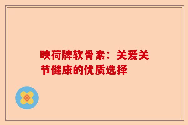 映荷牌软骨素：关爱关节健康的优质选择
