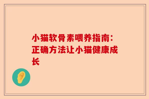 小猫软骨素喂养指南：正确方法让小猫健康成长