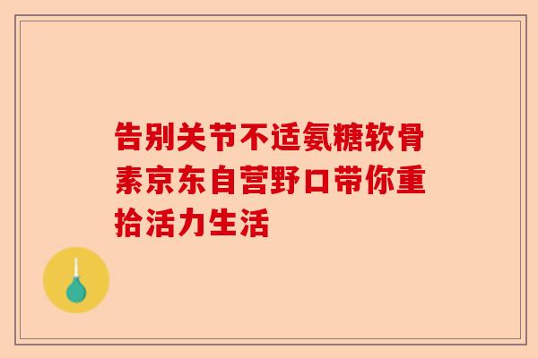 告别关节不适氨糖软骨素京东自营野口带你重拾活力生活