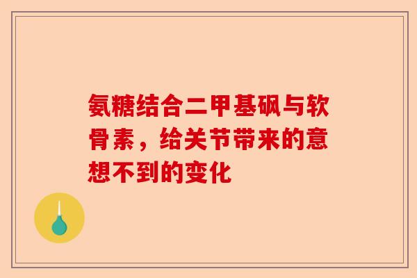 氨糖结合二甲基砜与软骨素，给关节带来的意想不到的变化-第1张图片-关节保镖