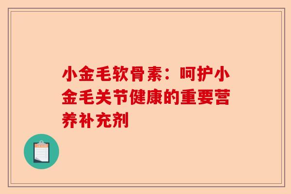 小金毛软骨素：呵护小金毛关节健康的重要营养补充剂