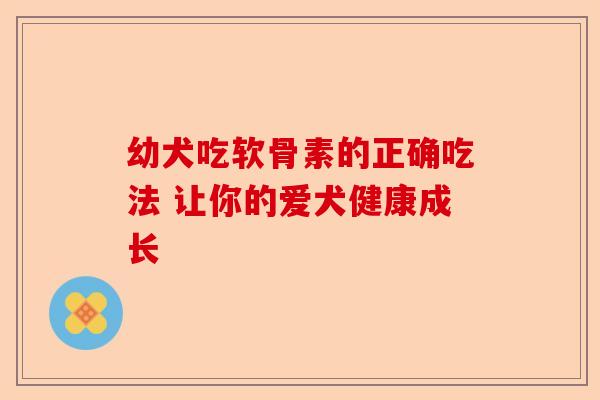 幼犬吃软骨素的正确吃法 让你的爱犬健康成长