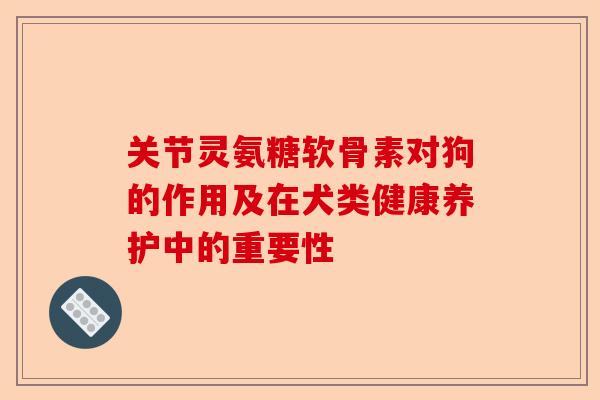关节灵氨糖软骨素对狗的作用及在犬类健康养护中的重要性