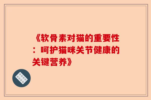 《软骨素对猫的重要性：呵护猫咪关节健康的关键营养》