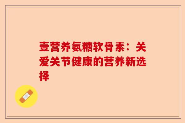 壹营养氨糖软骨素：关爱关节健康的营养新选择