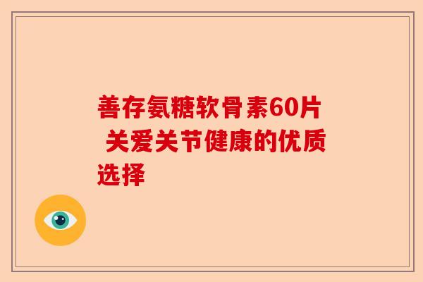 善存氨糖软骨素60片 关爱关节健康的优质选择