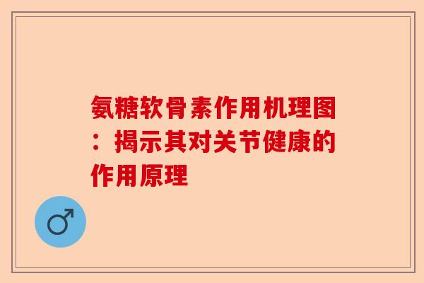 氨糖软骨素作用机理图：揭示其对关节健康的作用原理