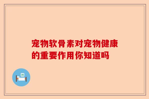 宠物软骨素对宠物健康的重要作用你知道吗