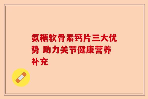 氨糖软骨素钙片三大优势 助力关节健康营养补充