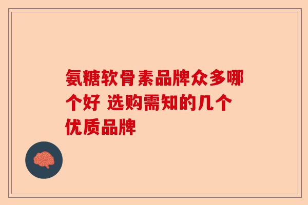 氨糖软骨素品牌众多哪个好 选购需知的几个优质品牌-第1张图片-关节保镖