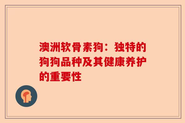 澳洲软骨素狗：独特的狗狗品种及其健康养护的重要性-第1张图片-关节保镖