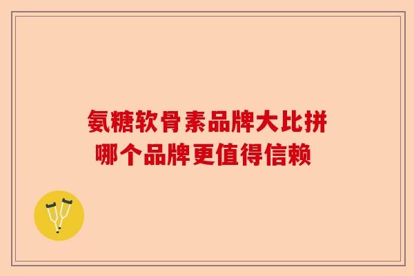 氨糖软骨素品牌大比拼 哪个品牌更值得信赖-第1张图片-关节保镖