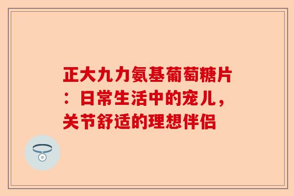 正大九力氨基葡萄糖片：日常生活中的宠儿，关节舒适的理想伴侣