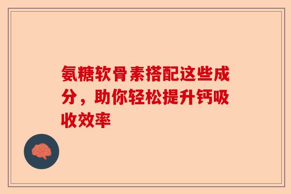 氨糖软骨素搭配这些成分，助你轻松提升钙吸收效率-第1张图片-关节保镖