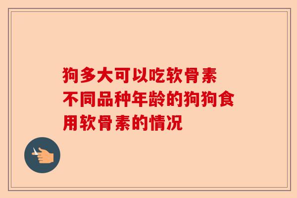狗多大可以吃软骨素 不同品种年龄的狗狗食用软骨素的情况