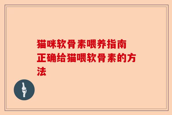 猫咪软骨素喂养指南 正确给猫喂软骨素的方法