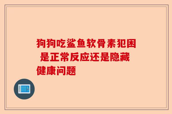 狗狗吃鲨鱼软骨素犯困 是正常反应还是隐藏健康问题
