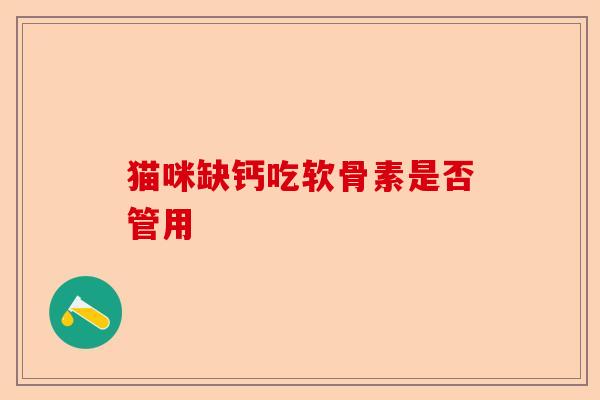 猫咪缺钙吃软骨素是否管用