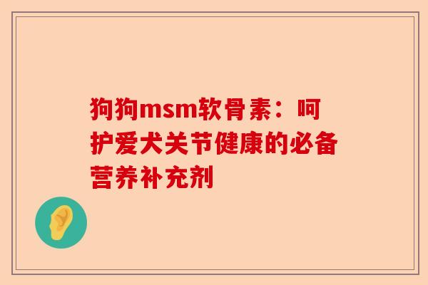 狗狗msm软骨素：呵护爱犬关节健康的必备营养补充剂-第1张图片-关节保镖