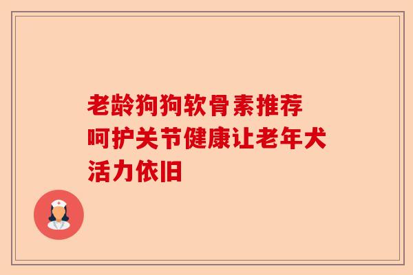 老龄狗狗软骨素推荐 呵护关节健康让老年犬活力依旧