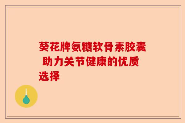 葵花牌氨糖软骨素胶囊 助力关节健康的优质选择