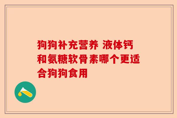 狗狗补充营养 液体钙和氨糖软骨素哪个更适合狗狗食用-第1张图片-关节保镖